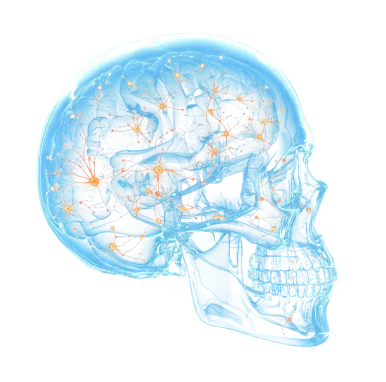 Neuroplasticité : l'hypnose dessine les nouveaux chemins neuronaux de votre développement personnel