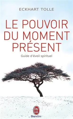 le pouvoir du moment présent Le pouvoir du moment présent : un guide de réveil spirituel