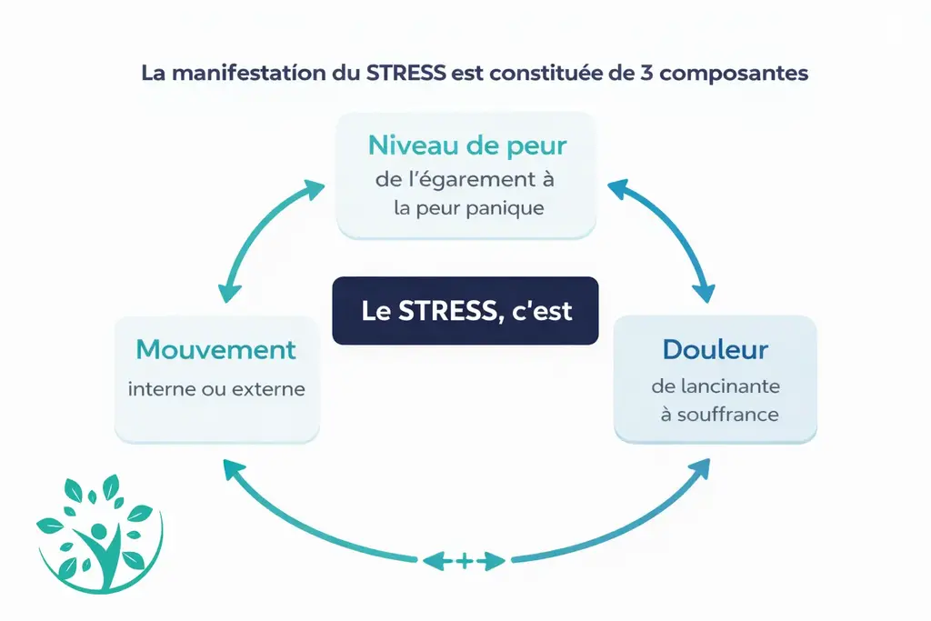 Les trois composantes du stress